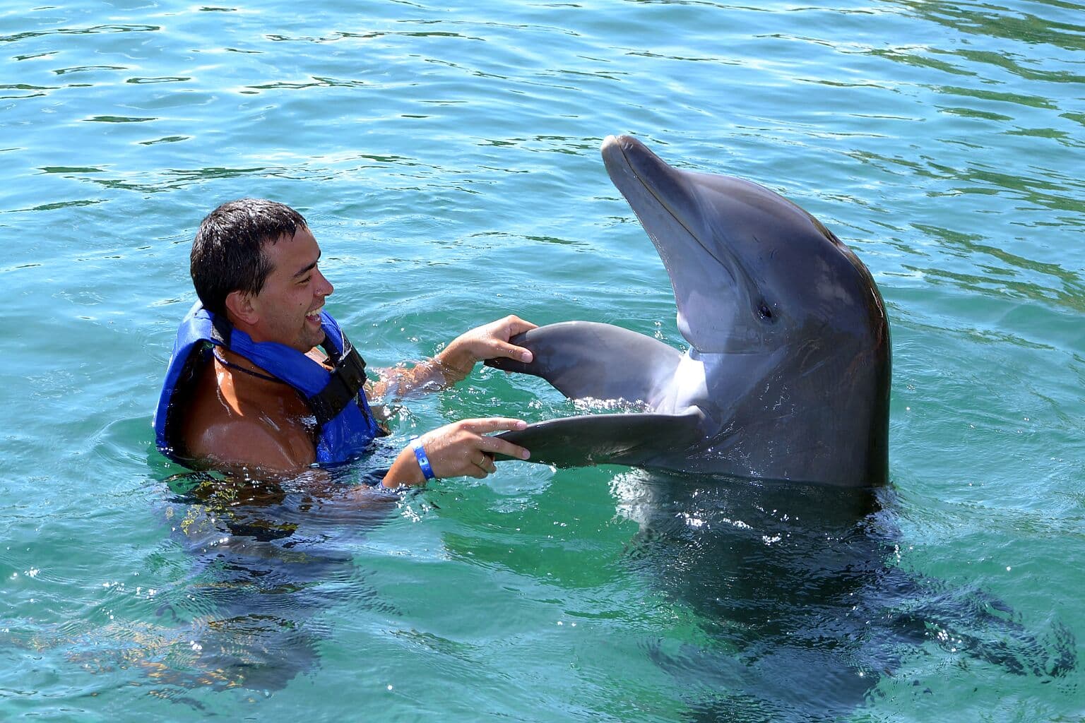 Мужчина в бассейне вместе с дельфином в Адлерском  дельфинарии